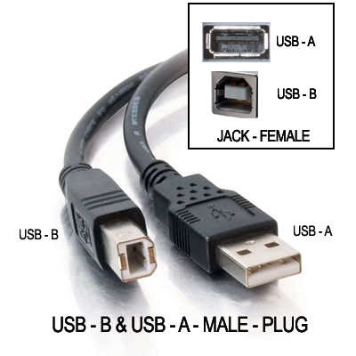 USB - A and USB - B Image